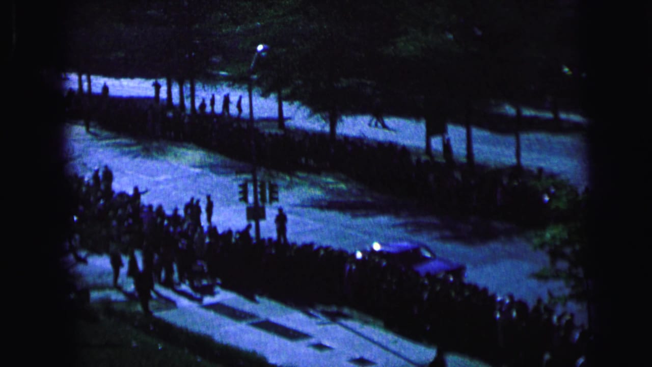Crowds line a tree-covered street near parked cars and sidewalks.