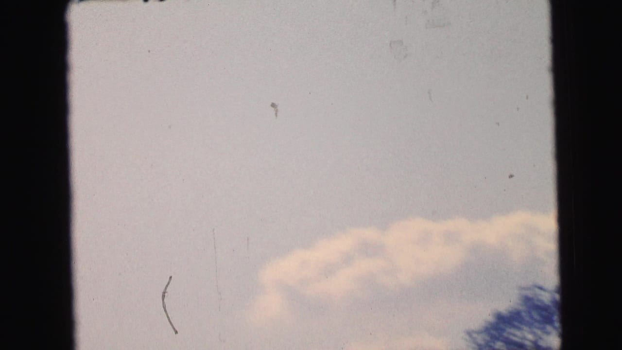 Pale sky with a soft cloud, distant tree tops, and dark frame-edge bands.