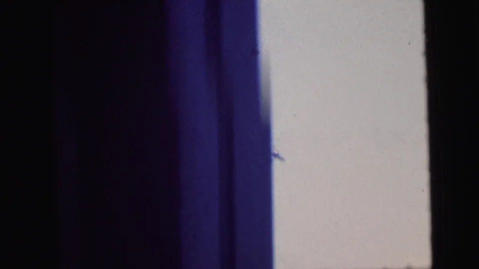 1964 Camden 8mm frame dominated by a blue vertical blur or obstruction at the left, with pale sky, a small tree-top detail, and dark film-edge bands.