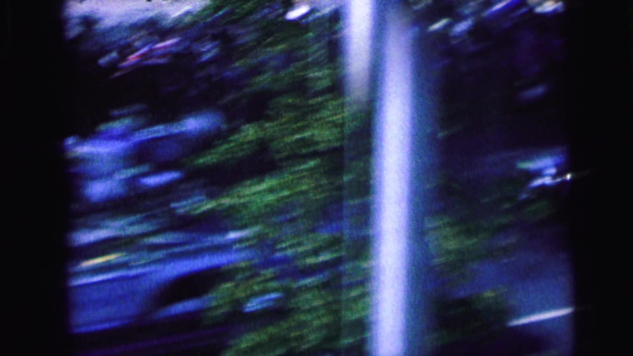 Blurred roadside view with greenery and a vertical pole as the camera pans.