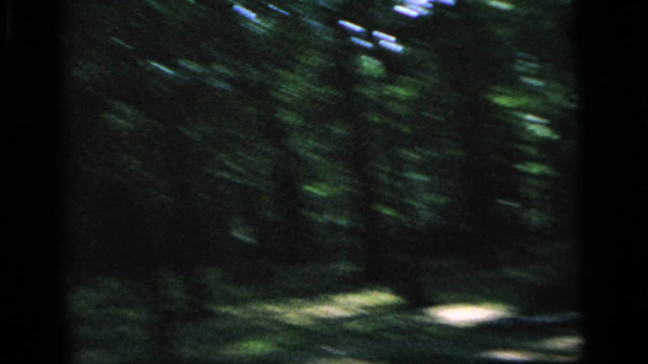 1964 Camden park footage shows a handheld, motion-blurred view of trees and dappled ground in deep shade.