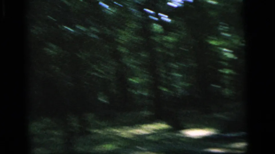 1964 Camden park footage shows a handheld, motion-blurred view of trees and dappled ground in deep shade.