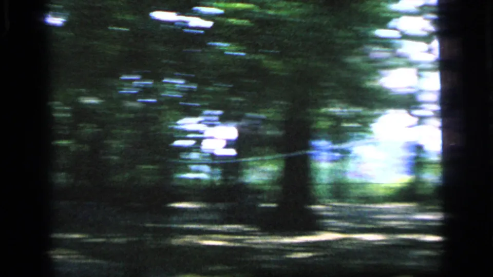 A wooded park in Camden appears in soft, shaky 8mm color, with bright openings beyond the tree line.