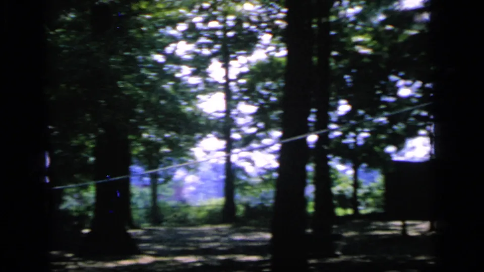 The 8mm frame looks across a shaded Camden park area toward brighter light through the trees, with no clear figure visible.