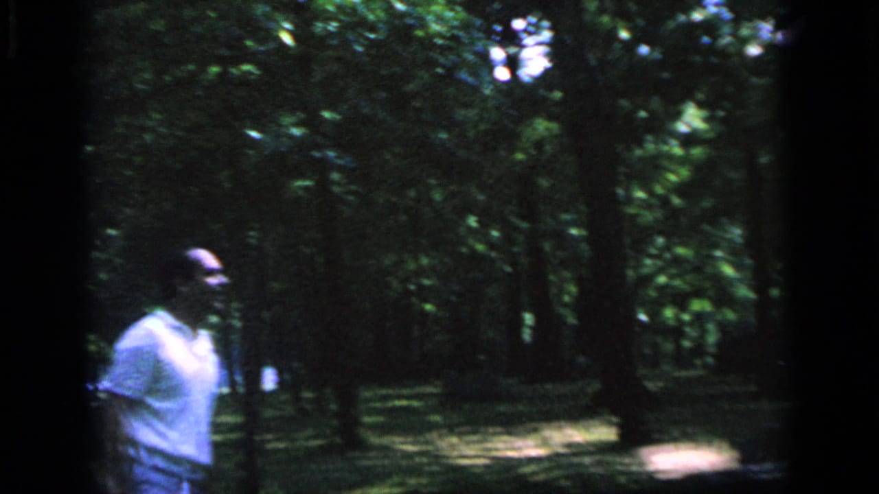 Man in a white shirt stands in a shaded park near trees during a badminton game.