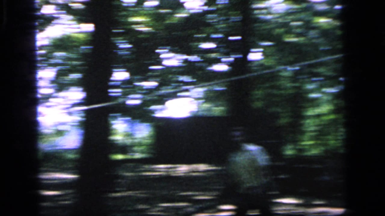 A fast handheld pan across the Camden park shows a blurred player near the right side, trees, and a badminton line or net crossing the frame.