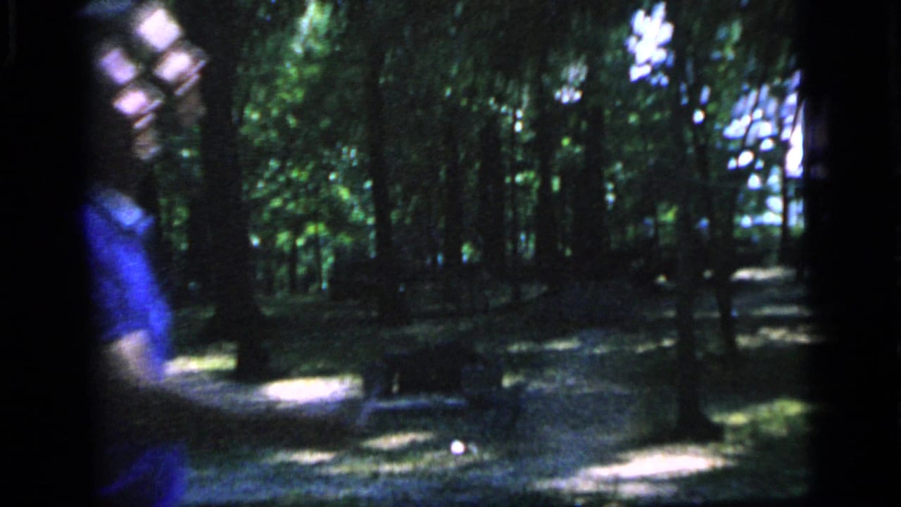 A blurred adult player in blue appears near the badminton net in the wooded Camden park scene from 1964.
