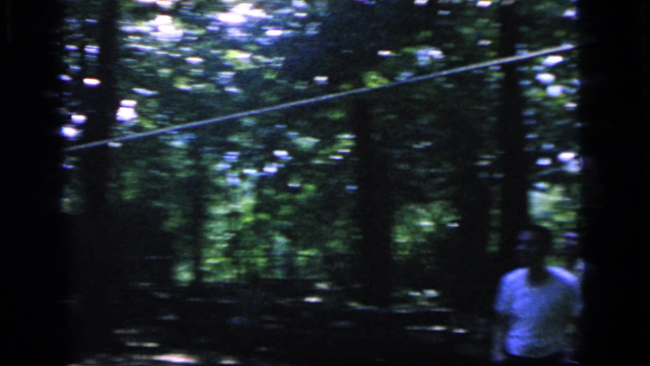 1964 home-movie frame from Camden, New Jersey, showing adults in a shaded forest clearing during a badminton game.