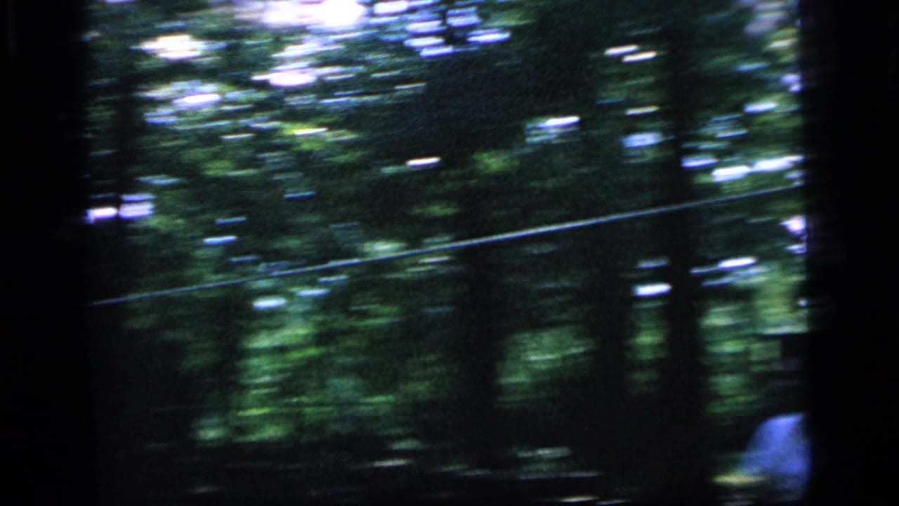 Wooded park view with a tennis player partly visible at the right edge.