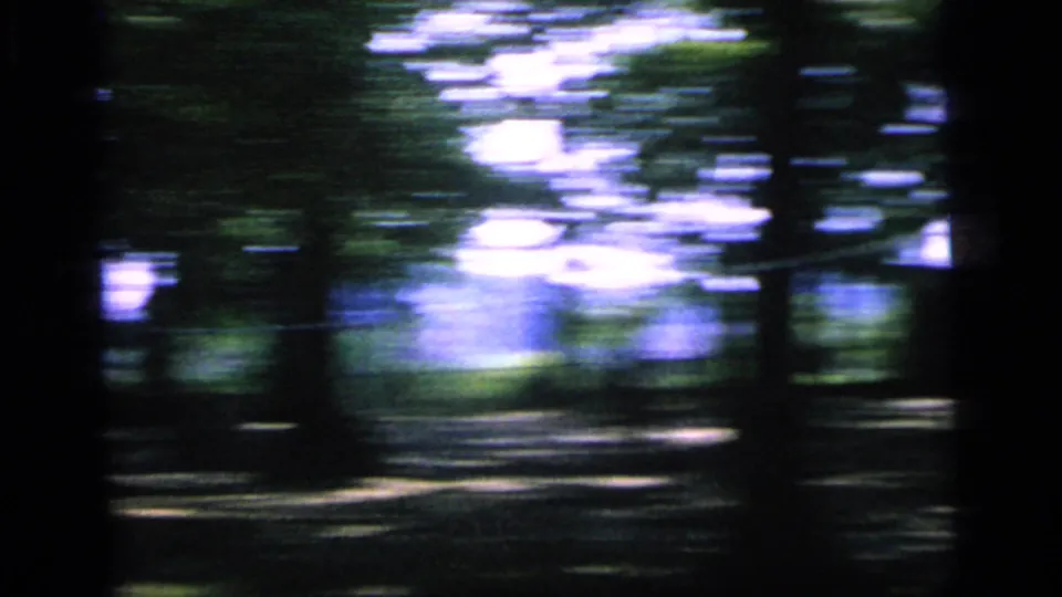 A blurred 8mm view of trees, shade, and a park path in the Camden tennis sequence.