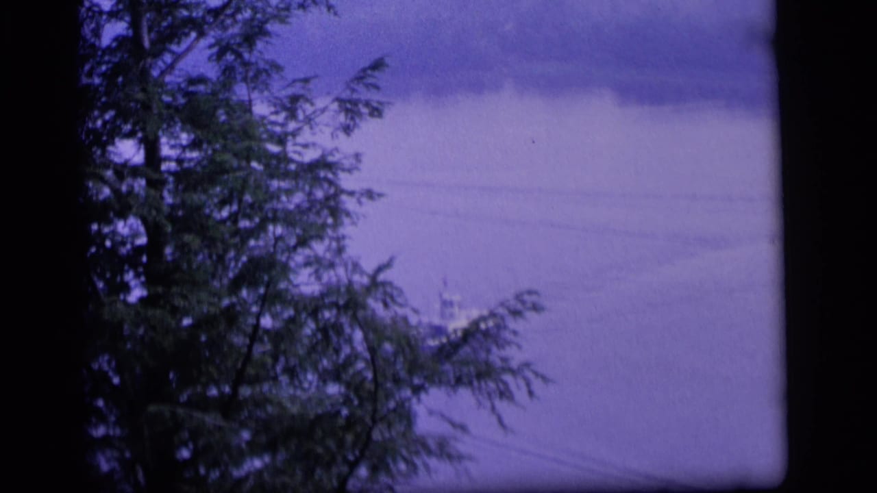 1964 Camden, New Jersey 8mm frame showing lake water behind dark tree trunks and evergreen branches with a strong purple cast.