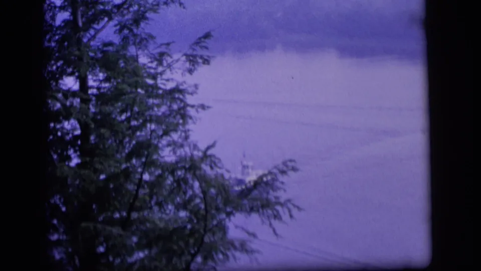 1964 Camden, New Jersey 8mm frame showing lake water behind dark tree trunks and evergreen branches with a strong purple cast.