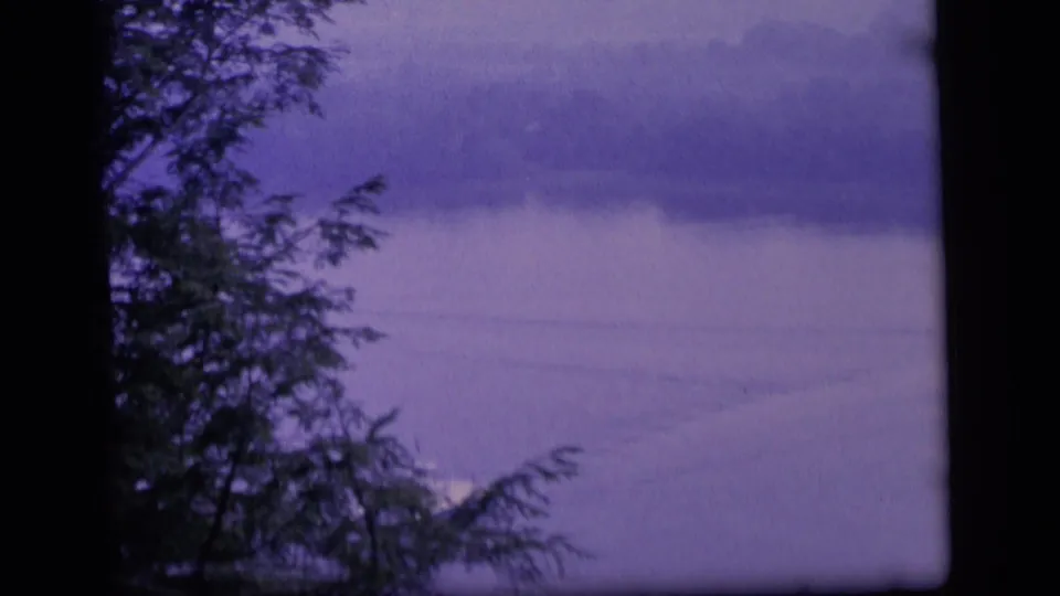 1964 Camden, New Jersey 8mm frame with evergreen foliage and a central dark trunk obscuring a purple-tinted lake view.