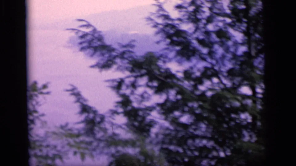 1964 Camden, New Jersey 8mm frame showing blurred lakeside foliage in the foreground with purple water and sky tones beyond.