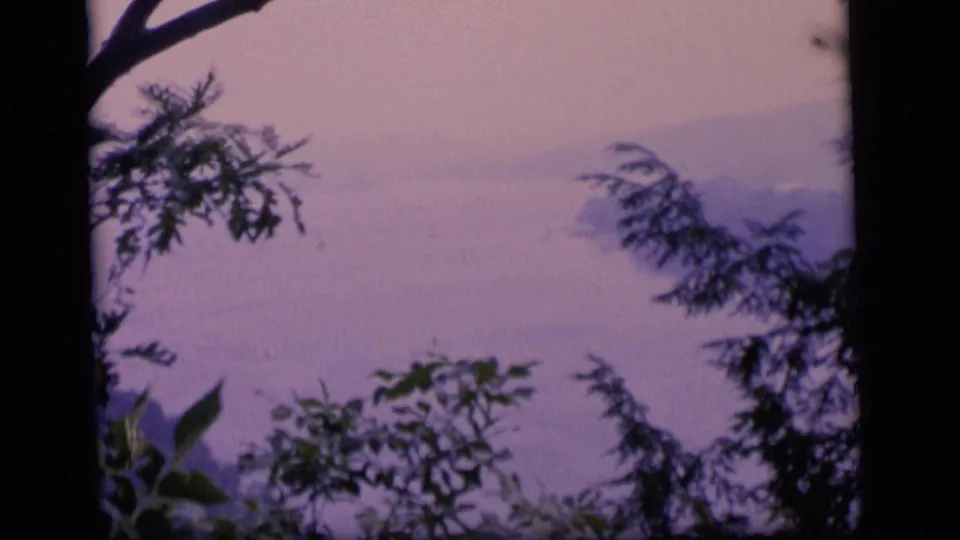 1964 Camden, New Jersey 8mm frame with dark tree limbs, leafy foreground plants, and a pale purple lake surface beyond.