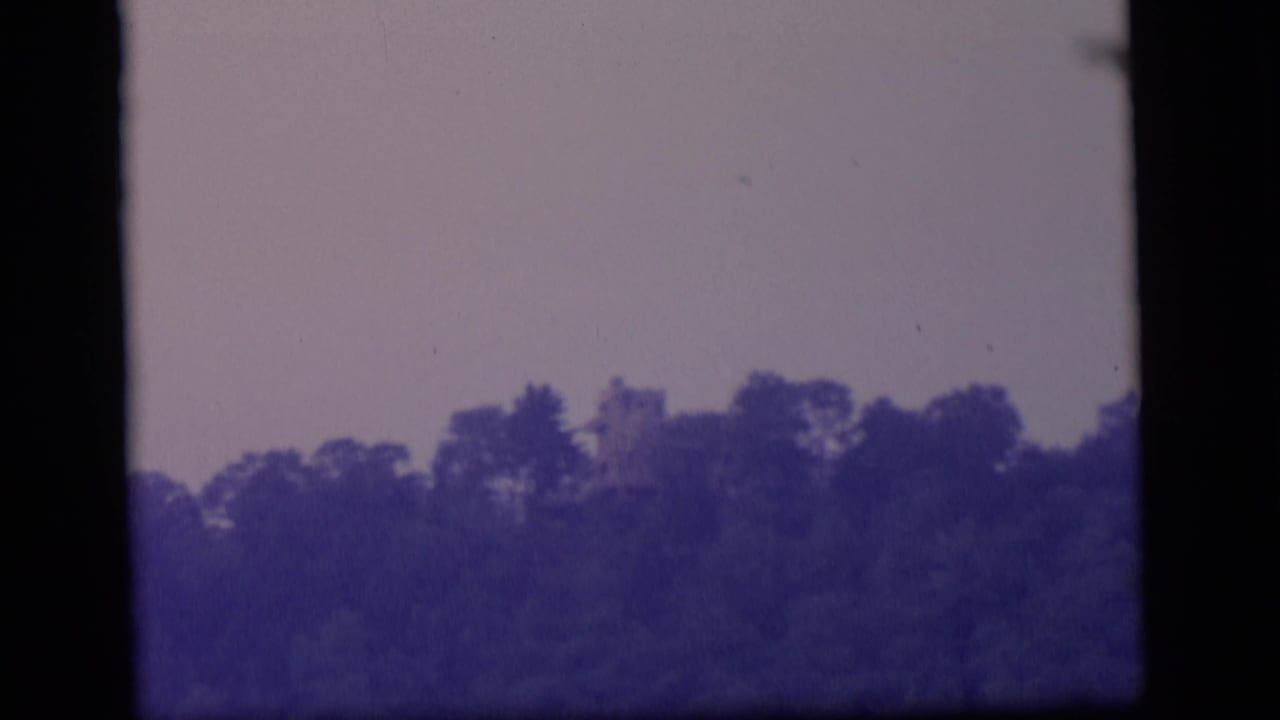 Distant ruined building partly hidden behind trees and brush under a muted sky.