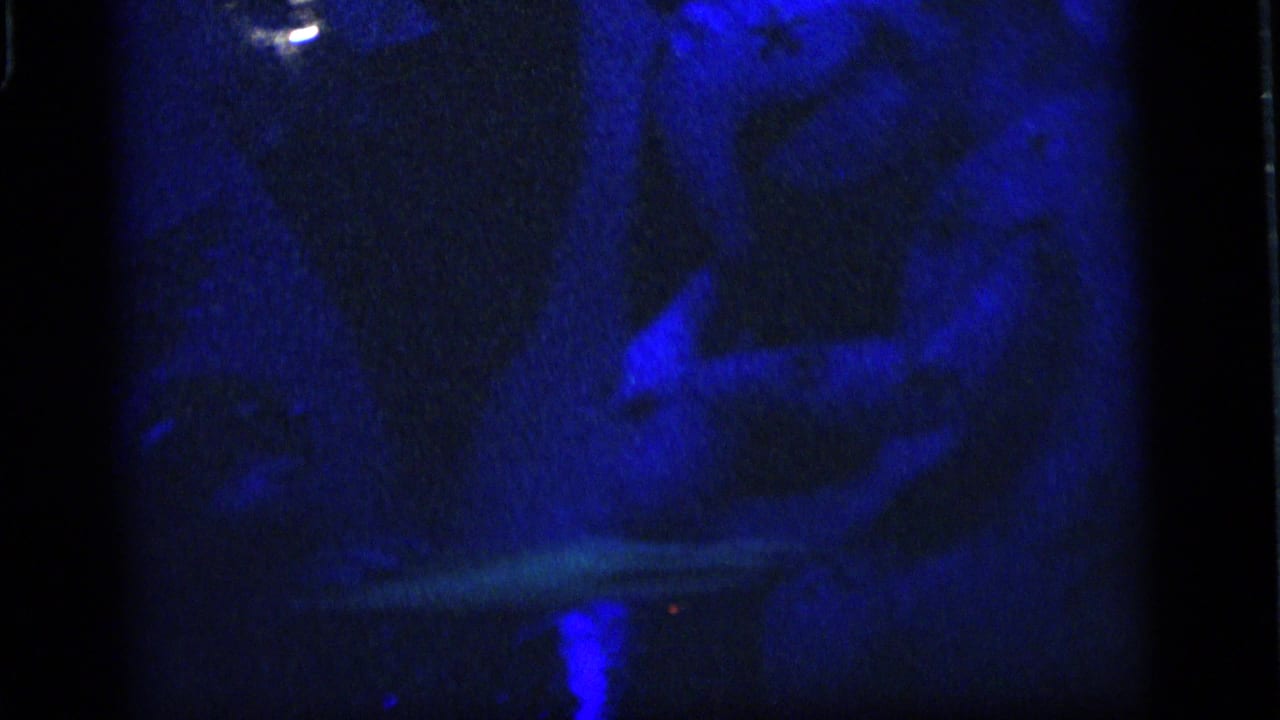 Low-light 1964 Camden frame with blue illumination, a partially visible animatronic or display figure, and heavy grain.