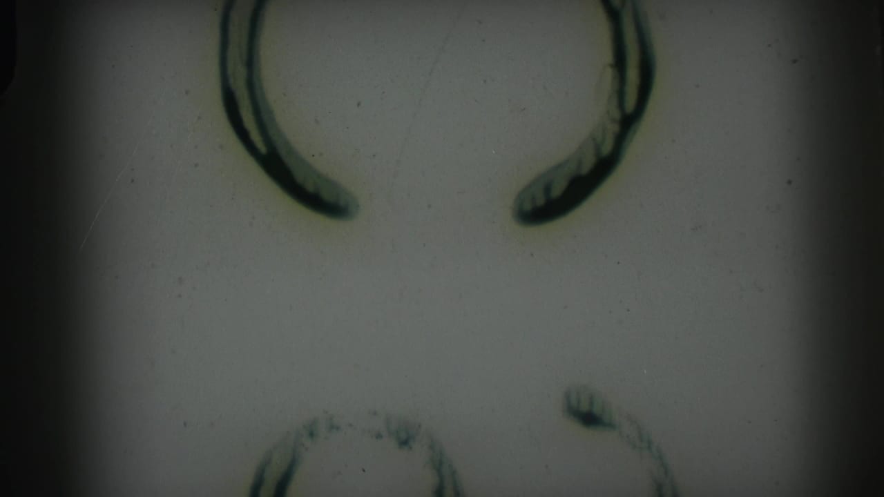 Abstract or obscured 8mm frame from the Camden wedding clip, with dark curved marks and heavy vignetting visible.