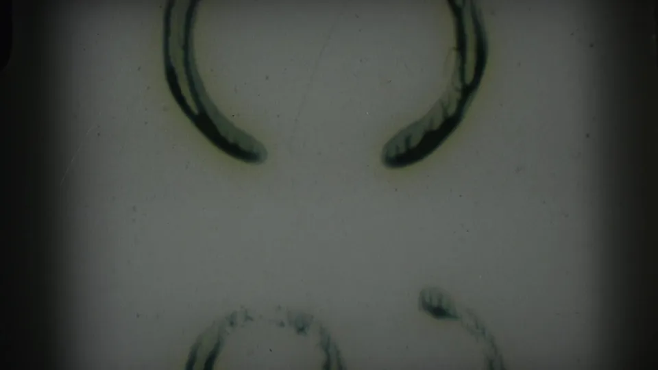 Abstract or obscured 8mm frame from the Camden wedding clip, with dark curved marks and heavy vignetting visible.
