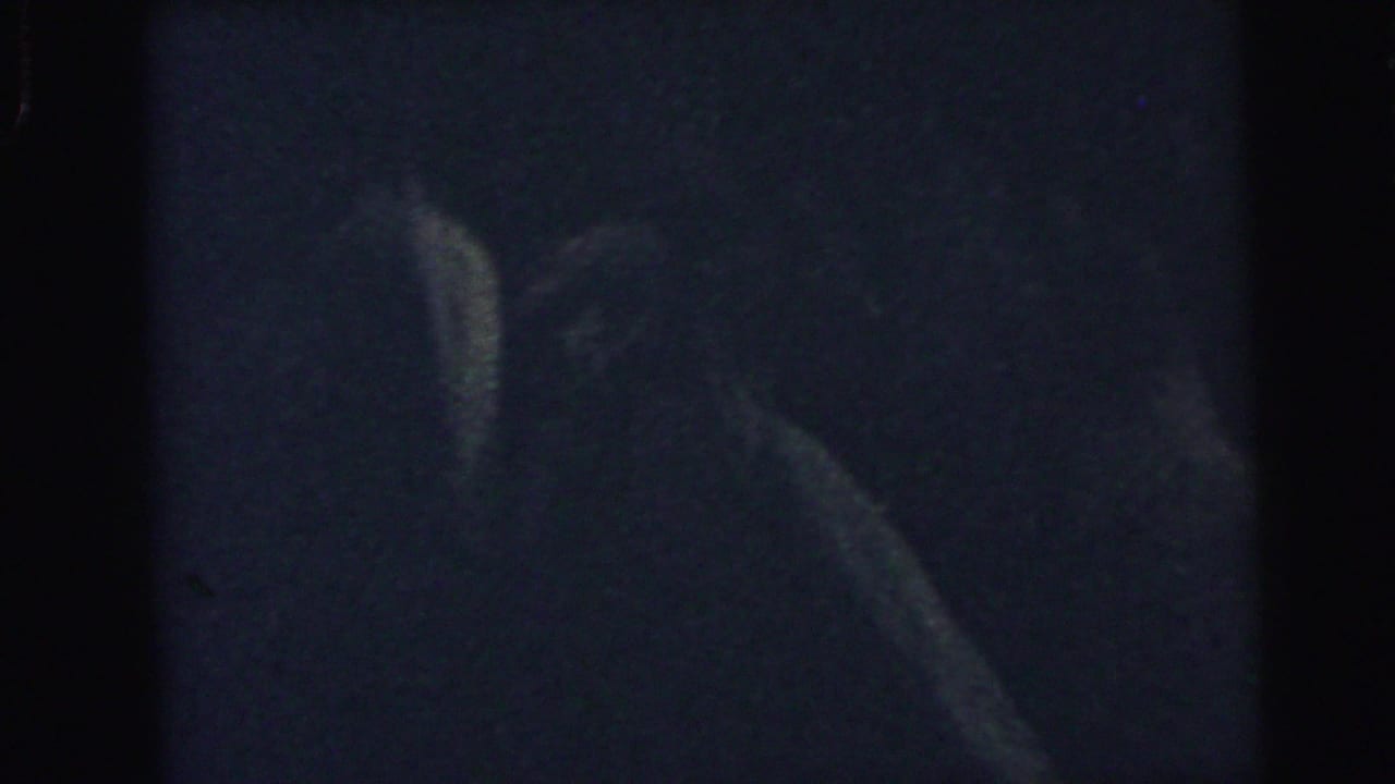 Dark, blurry indoor silhouettes in very low light.