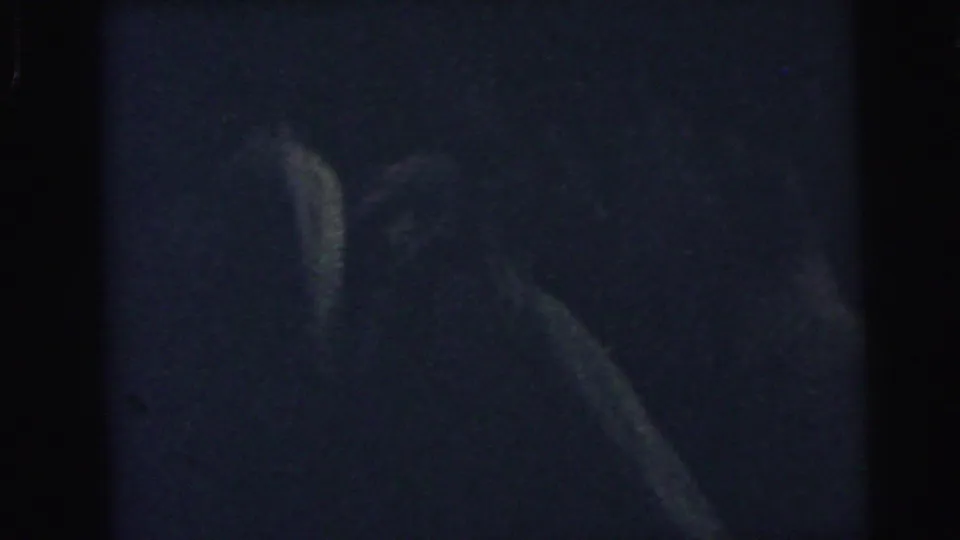 Low-light 8mm frame from the 1964 Camden wedding reception, with indistinct figures visible as dark silhouettes.