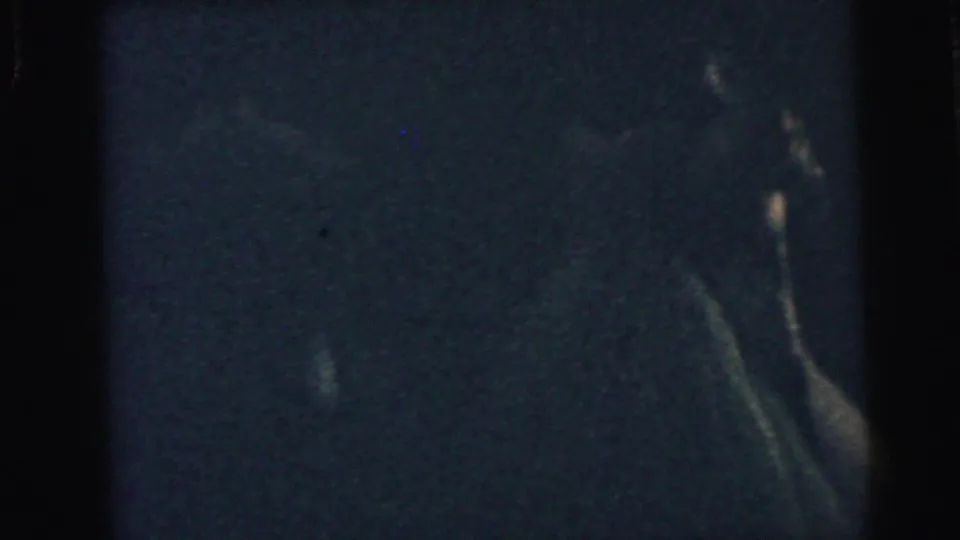 Dim 8mm reception frame with faint human forms, heavy grain, and limited visible detail before the cake-cutting scene.