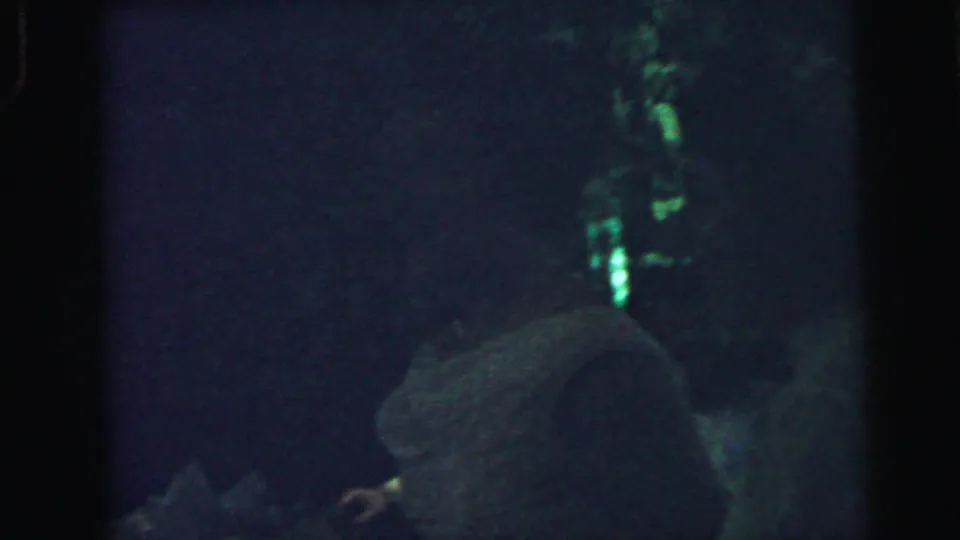 A dim, grainy reception view shows a veiled figure near another shadowed person, with bright highlights along the wall or window area.