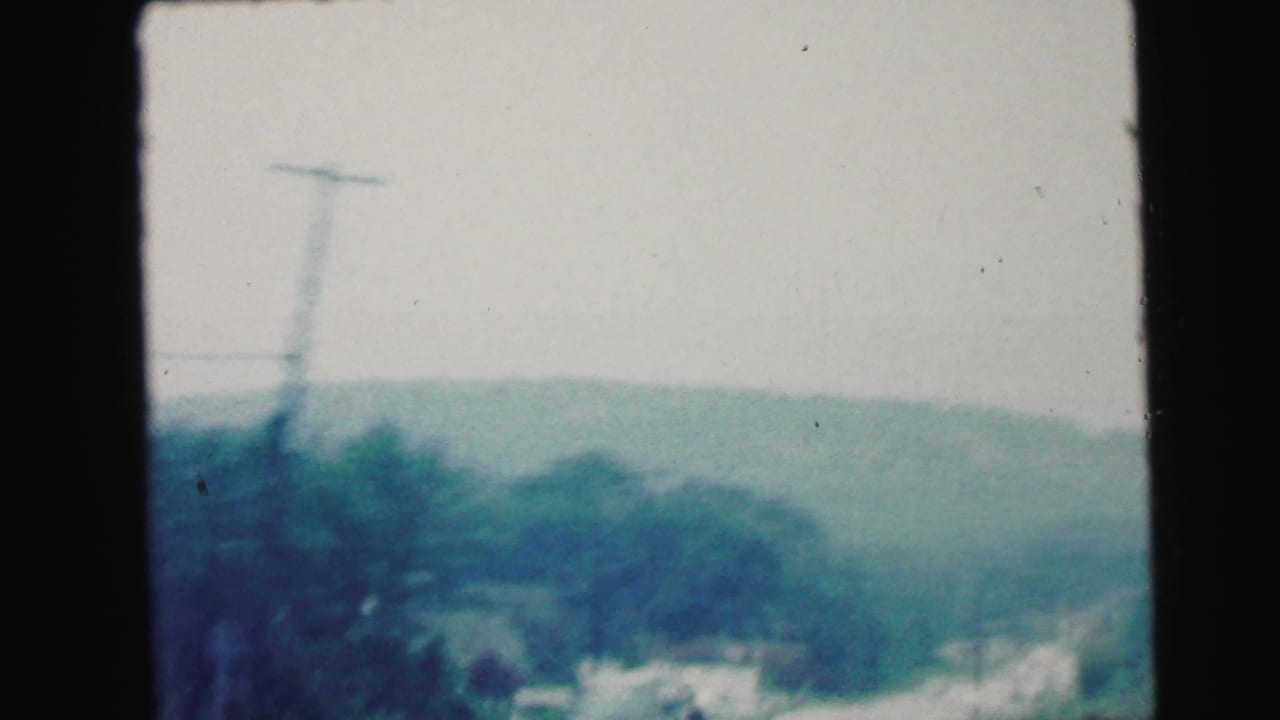 Soft roadside view with wooded hills, utility poles and pale sky seen from a moving car.