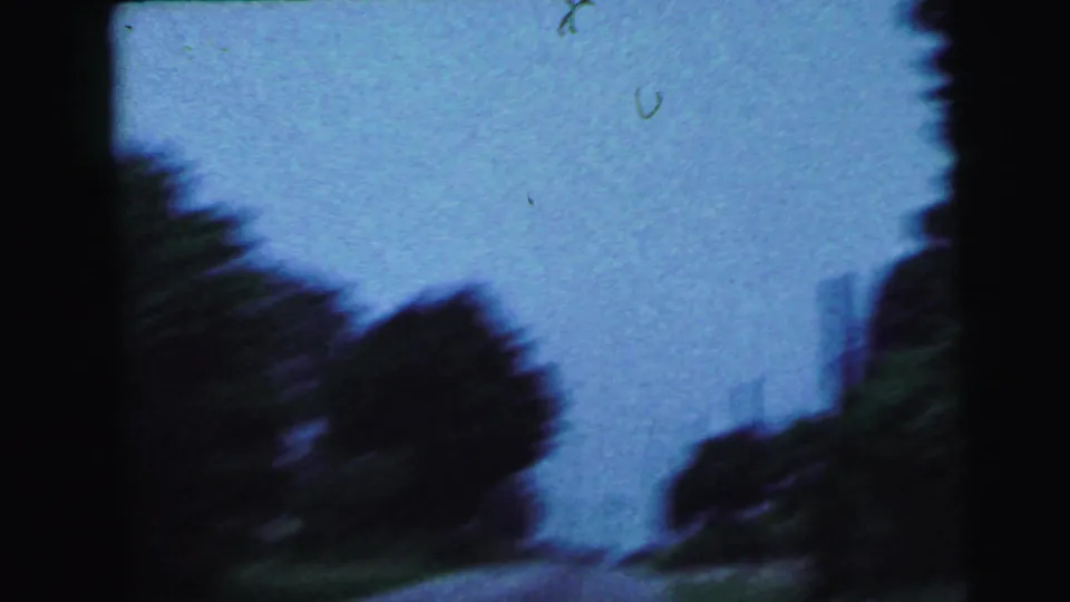 Rural roadside trees flanking a road under an overcast sky, filmed from a moving car with visible 8mm film grain and dust, circa 1964 New Jersey.