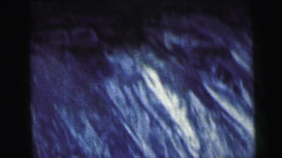 Abstract 8mm home movie frame from 1964 showing motion-blurred foliage or vegetation captured from a moving vehicle, attributed to New Jersey.