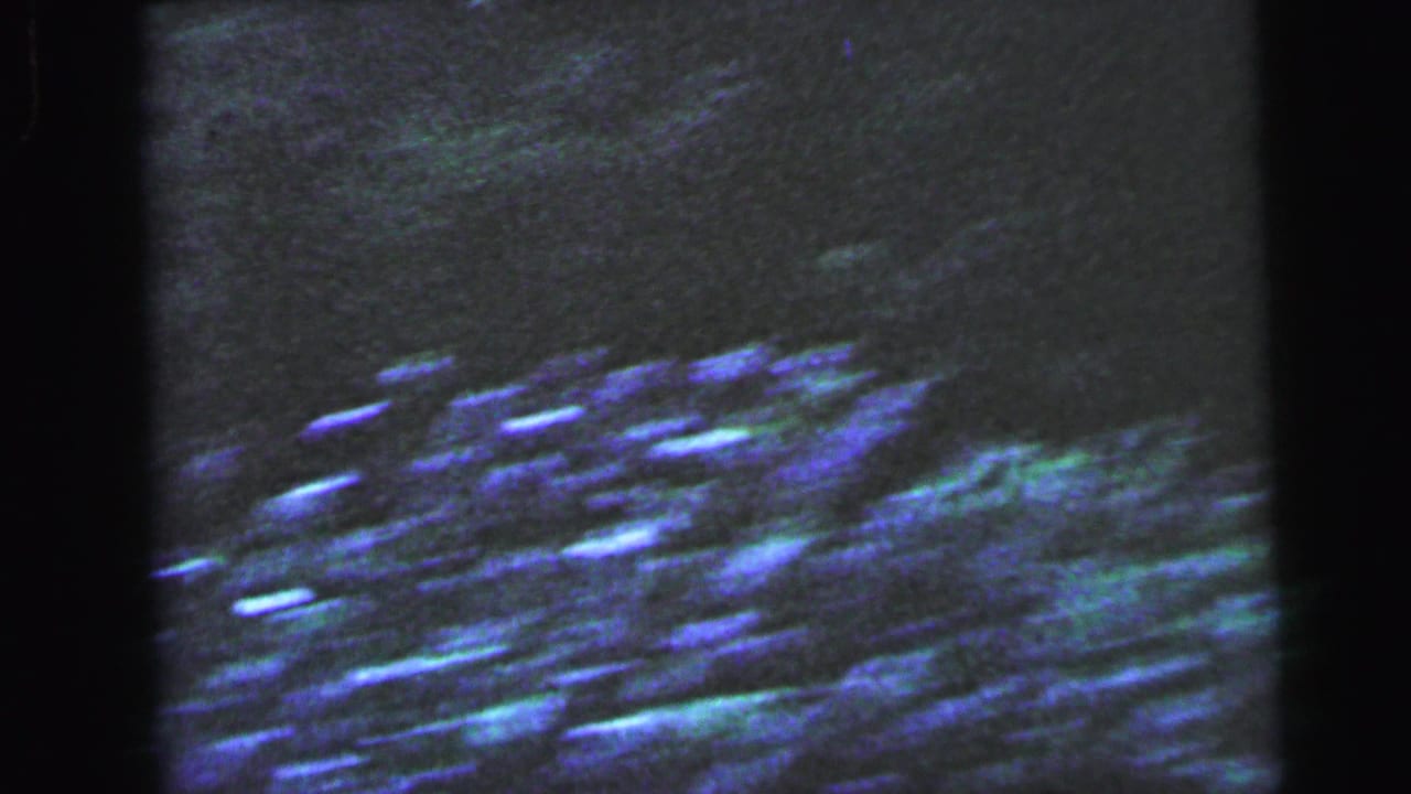 Abstract blue-green and purple shapes, possibly foliage or a decorative surface, on 8mm home-movie film from Camden NJ circa 1964.