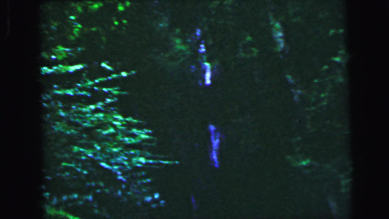 Dark 8mm frame showing dense green coniferous trees at left and a vertical blue-white light streak at center, heavily underexposed.