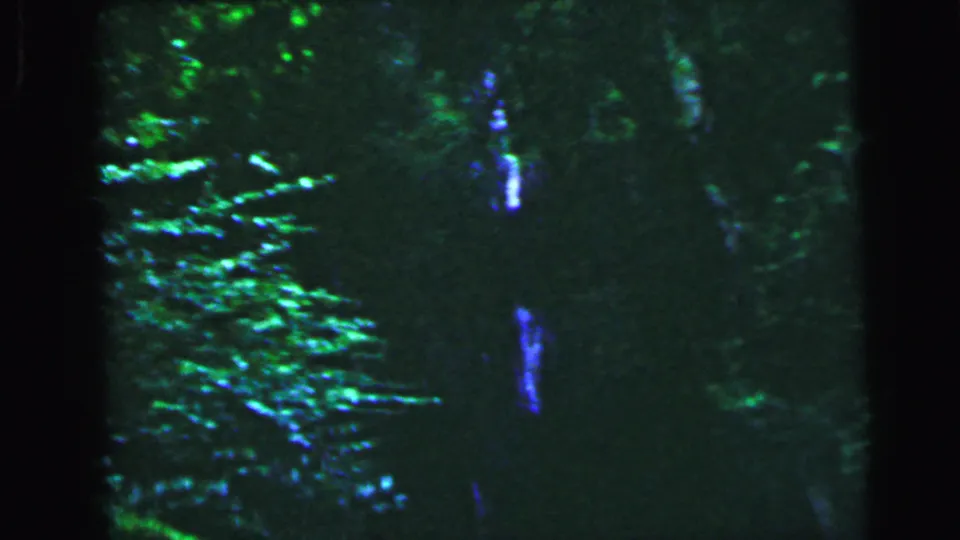Severely underexposed 8mm frame circa 1964, dense green coniferous foliage at left and a vertical blue-white streak that may indicate a waterfall or film artifact.