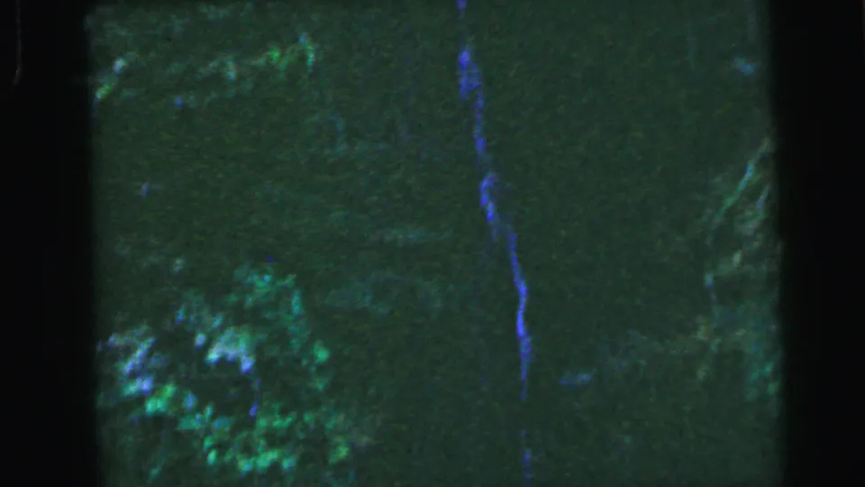 Heavily underexposed 8mm frame circa 1964 showing dark forest with green foliage highlights and a blue-white vertical streak toward the right edge.