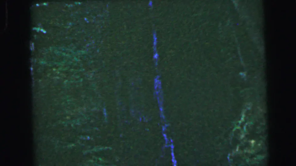 Heavily underexposed 8mm frame circa 1964 from a dark outdoor forest setting, with faint green foliage highlights and a blue vertical light streak.