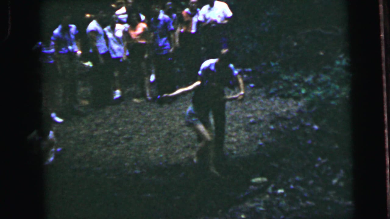 Group of adults walking along a path in a shaded wooded area, seen from mid-distance.