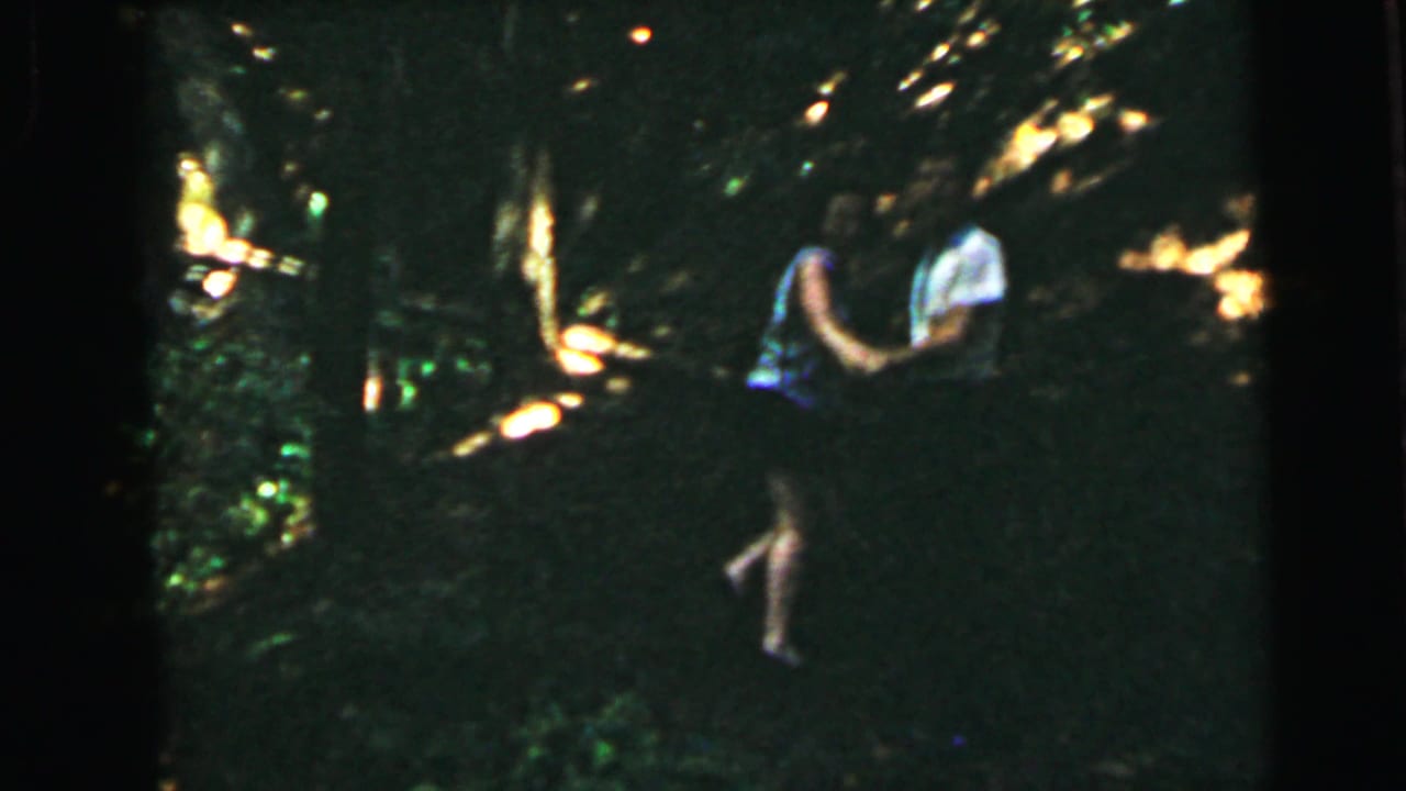 One or two figures visible at right in a dense dark forest with dappled golden sunlight through the canopy.