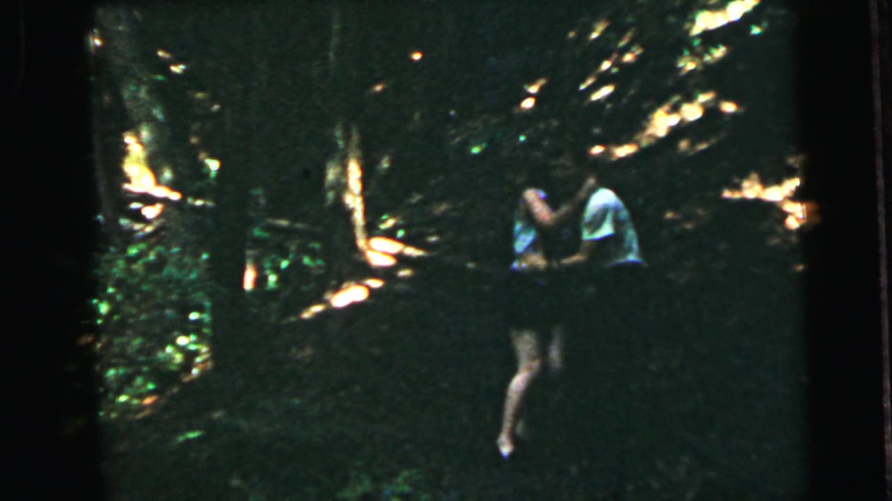 Two figures walking together through a dense wooded area, seen from a distance on a slope.