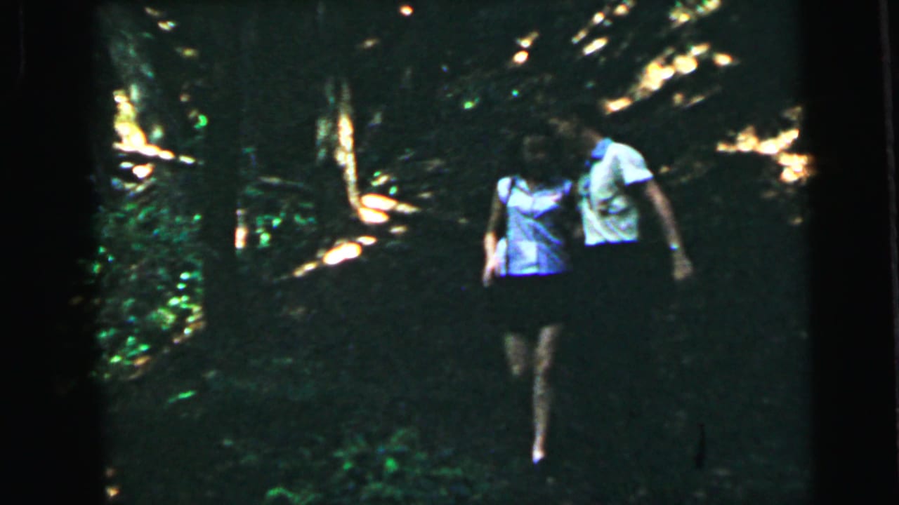 Young couple walking through trees, seen at mid-distance; woman in light top and man in white shirt.