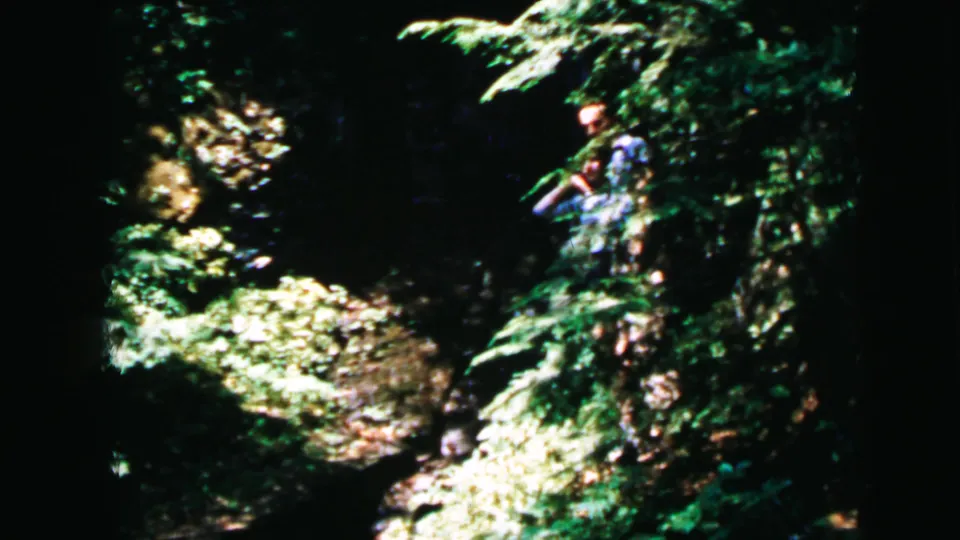 Mid-shot of a wooded trail with two people walking away from camera through lush deciduous vegetation, consistent with mid-1960s summer leisure filming, New Jersey.