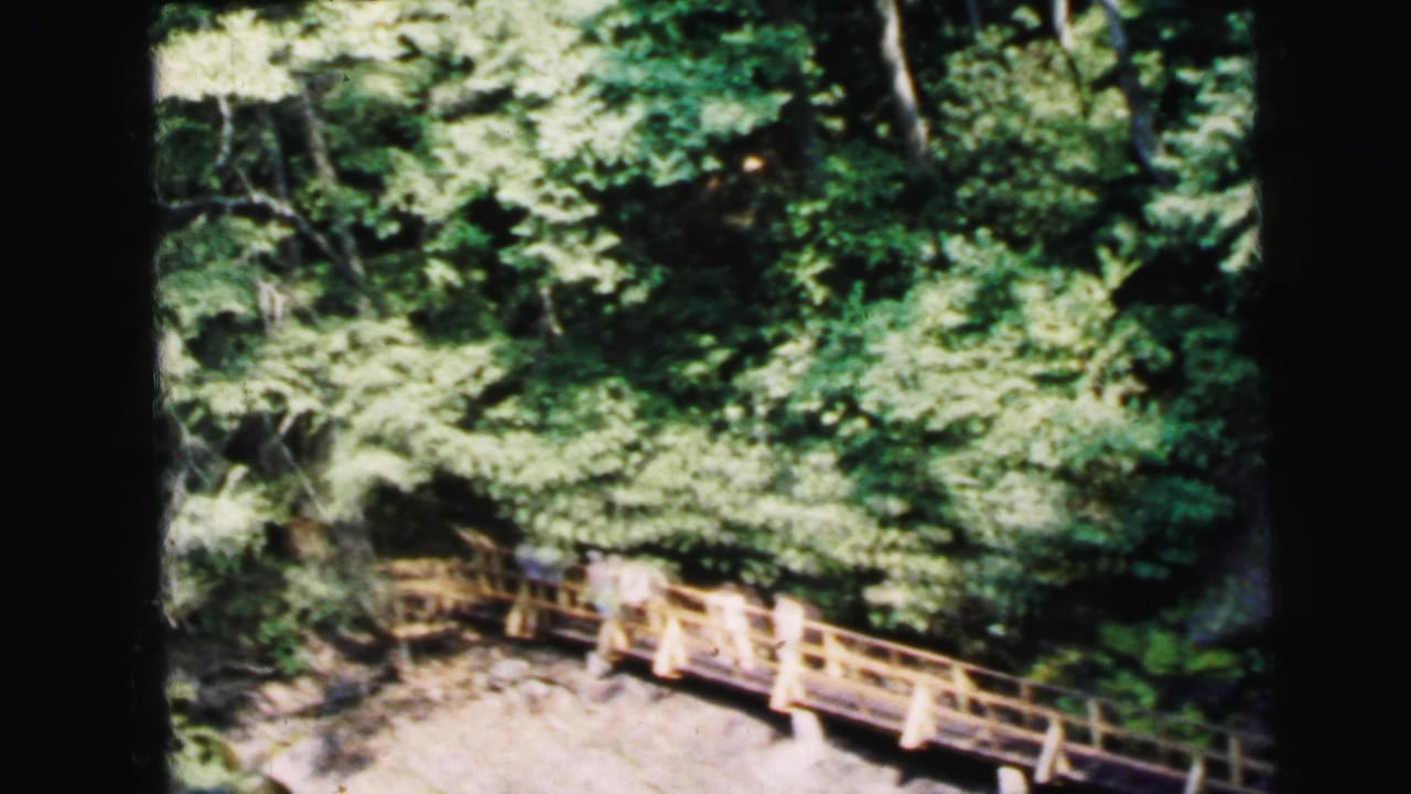 1964 8mm home movie: elevated view of a wooden bridge with light-painted railings winding through lush deciduous canopy, believed to be a Camden, New Jersey park.