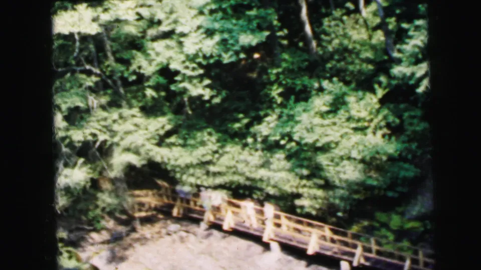 1964 8mm home movie: elevated view of a wooden bridge with light-painted railings winding through lush deciduous canopy, believed to be a Camden, New Jersey park.