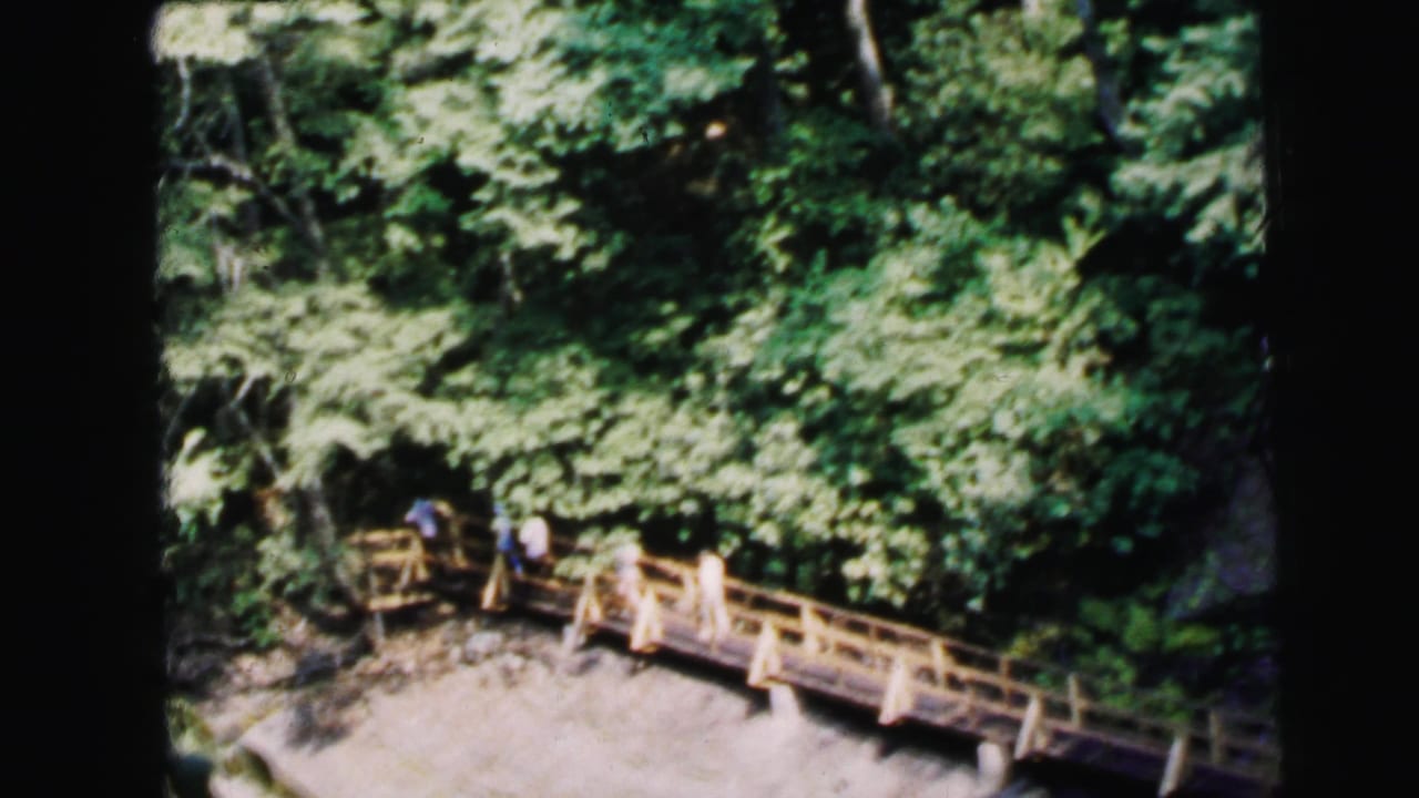 1964 8mm home movie: small figures walking on a curved wooden bridge seen from above, surrounded by full-summer foliage in what appears to be a Camden, New Jersey park.