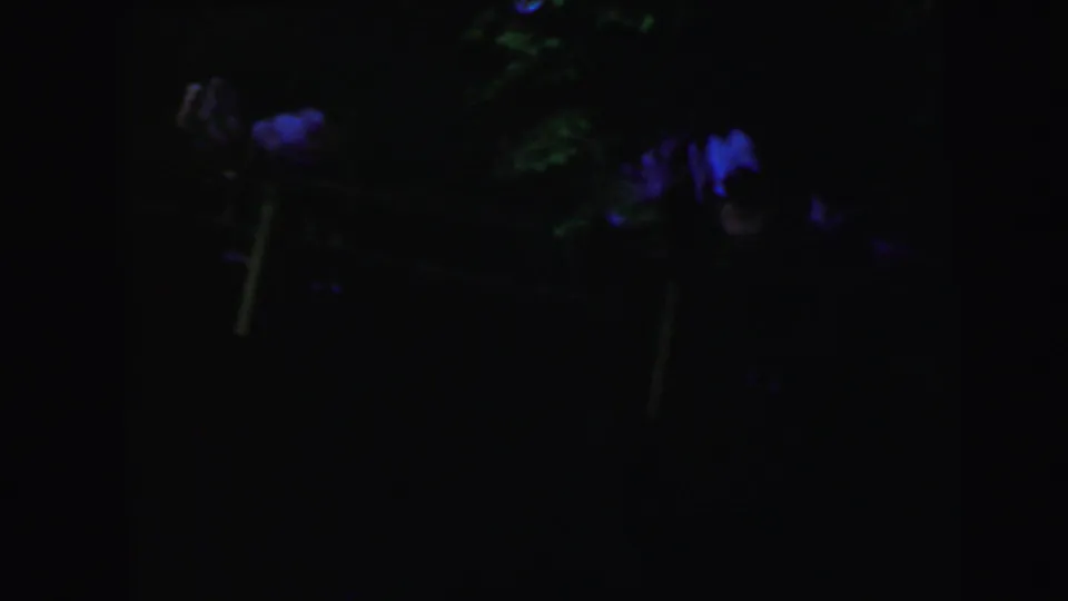 Dark transition or splice frame from the 1964 8mm reel; barely discernible blue-tinted shapes against near-black exposure.