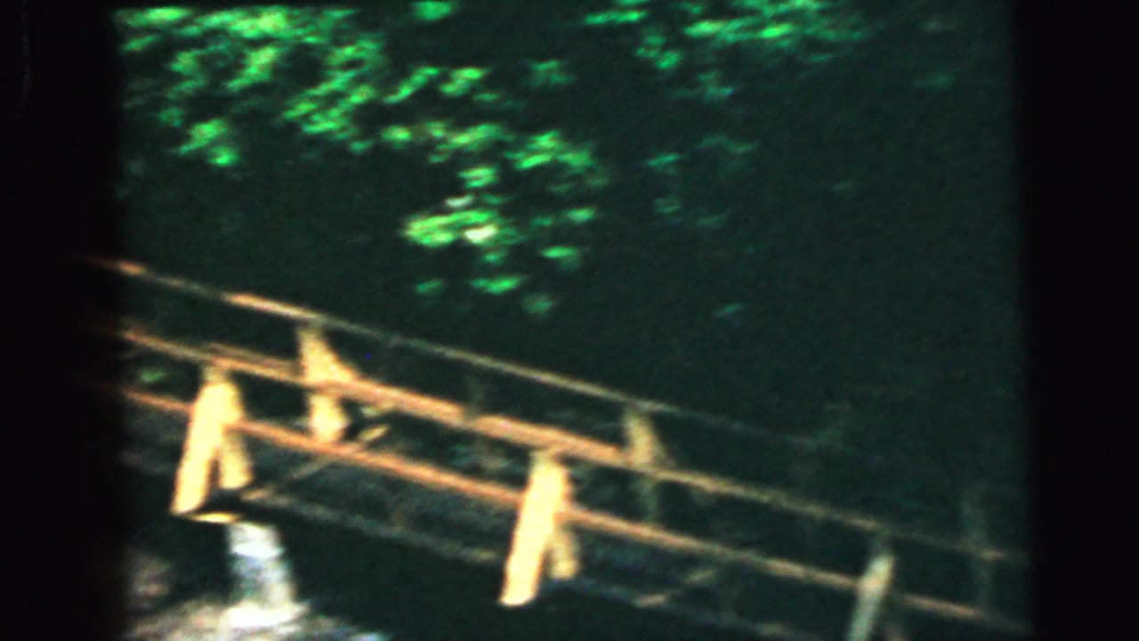 Wooden bridge with cross railings at night, lit by warm artificial light at lower left, dense dark foliage in background.