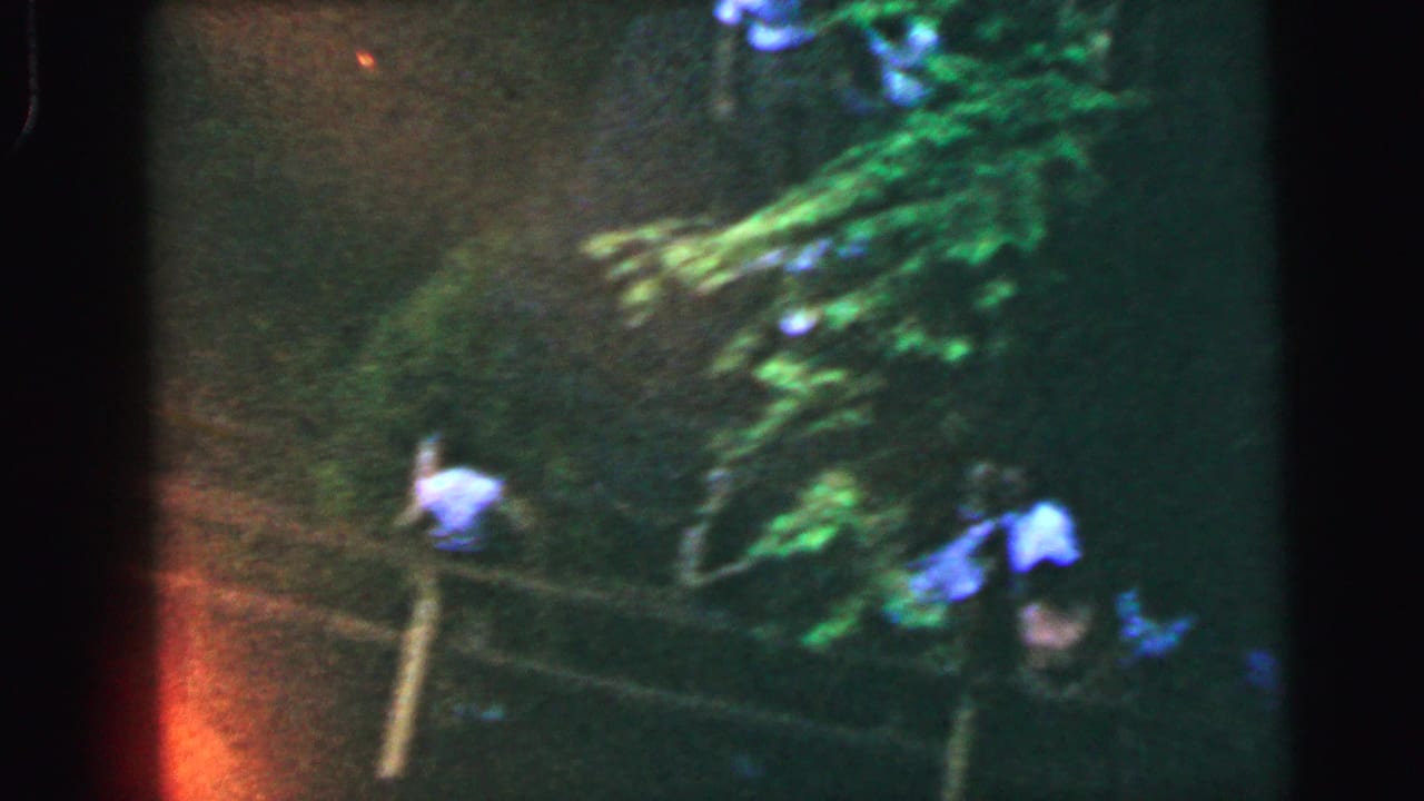 8mm color footage from 1964 showing two figures, one in white and one in blue, standing by a wooden bridge railing at night with dark tree canopy overhead.