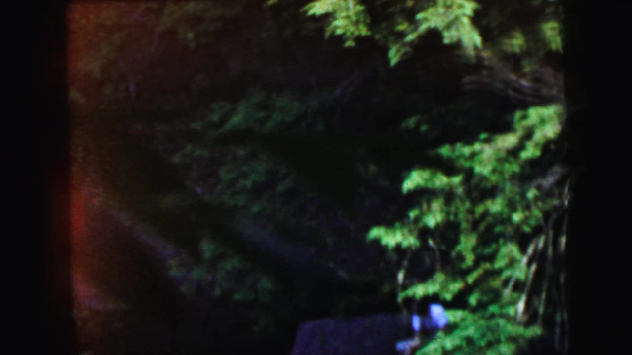 8mm color home movie, likely 1964 New Jersey, showing bright over-saturated forest foliage with a red lens flare and a dark, partially obscured figure at the bottom.