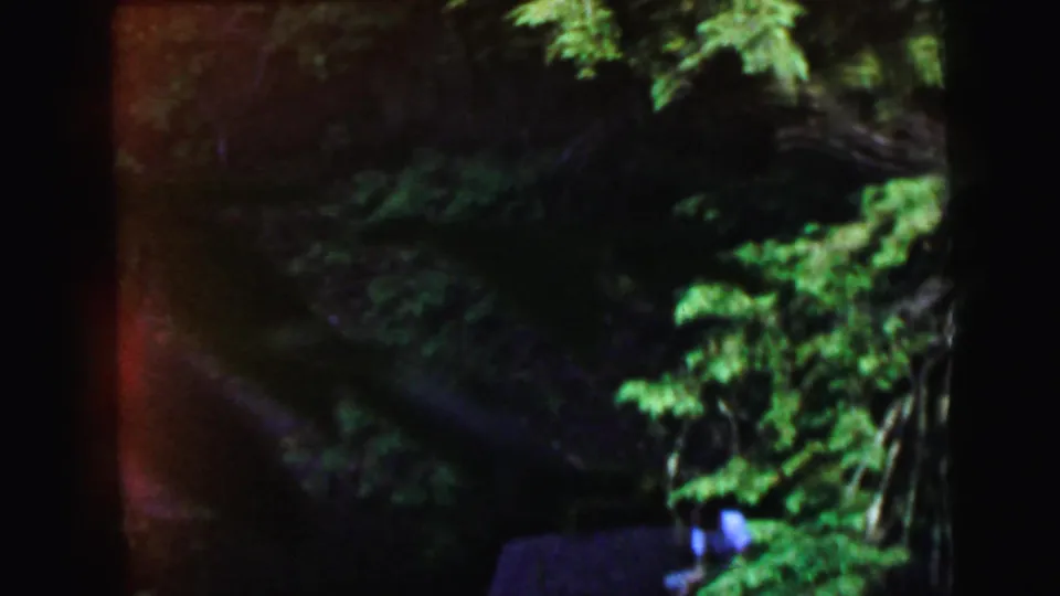 8mm color home movie, likely 1964 New Jersey, showing bright over-saturated forest foliage with a red lens flare and a dark, partially obscured figure at the bottom.