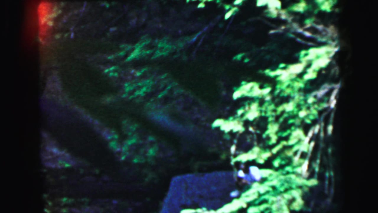 8mm frame from a 1964 Camden, New Jersey home movie showing dense woodland foliage with a red artifact near the top and a heavily shadowed lower area.