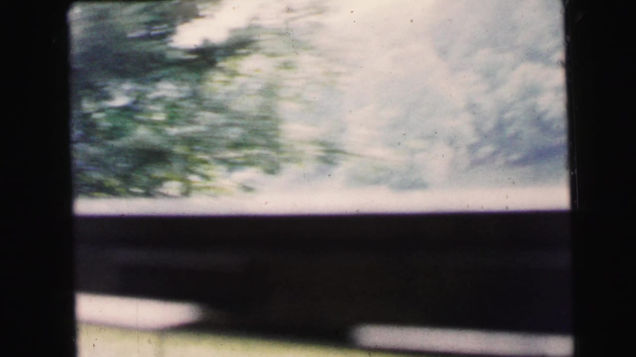 Motion-blurred trees filmed through a moving vehicle window, from an 8mm home movie circa 1964.